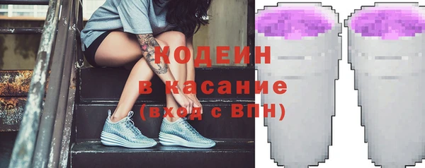 гашик Дмитриев