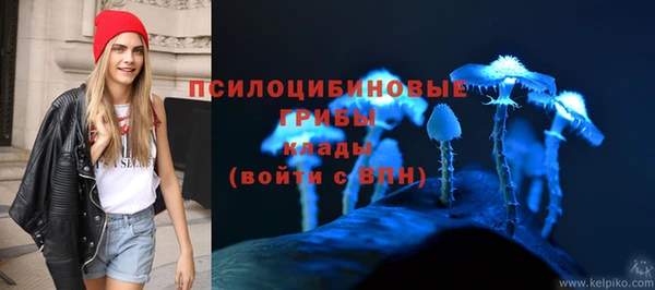 соль ск Дмитровск