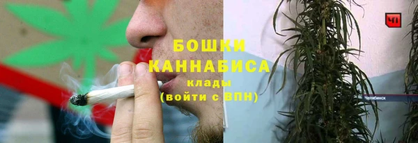 крисы Дмитров
