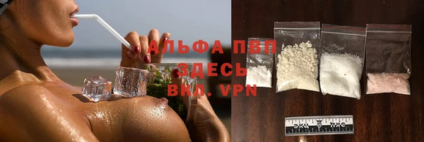 гашик Дмитриев