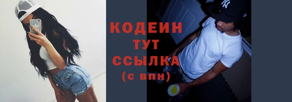 соль ск Дмитровск