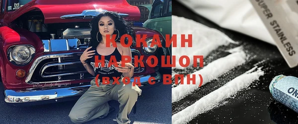 соль ск Дмитровск