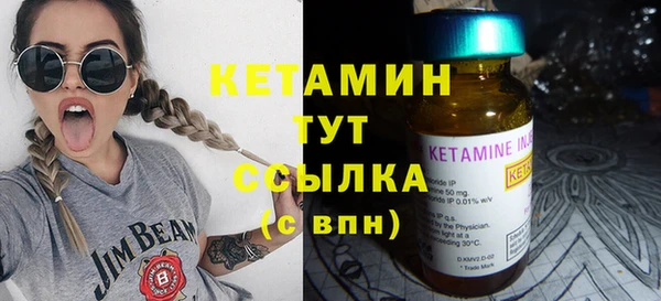 крисы Дмитров
