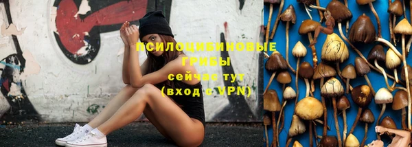 гашик Дмитриев