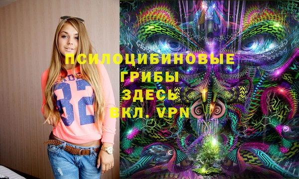 соль ск Дмитровск