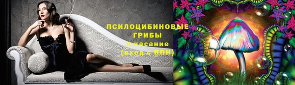 крисы Дмитров