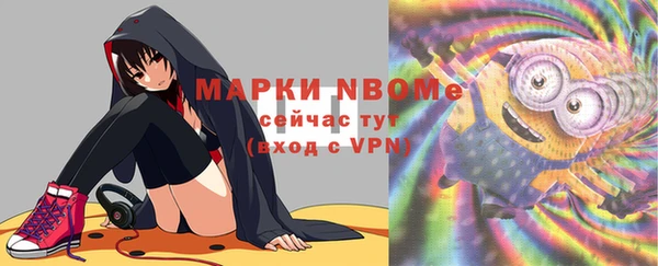 гашик Дмитриев