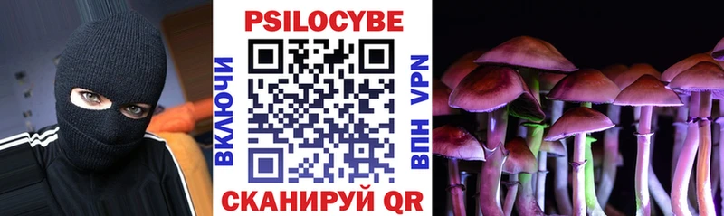 Купить где  Чкаловск  Галлюциногенные грибы мицелий 
